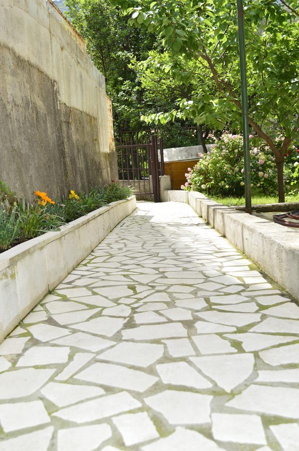 Apartment Mistovic كوتور المظهر الخارجي الصورة